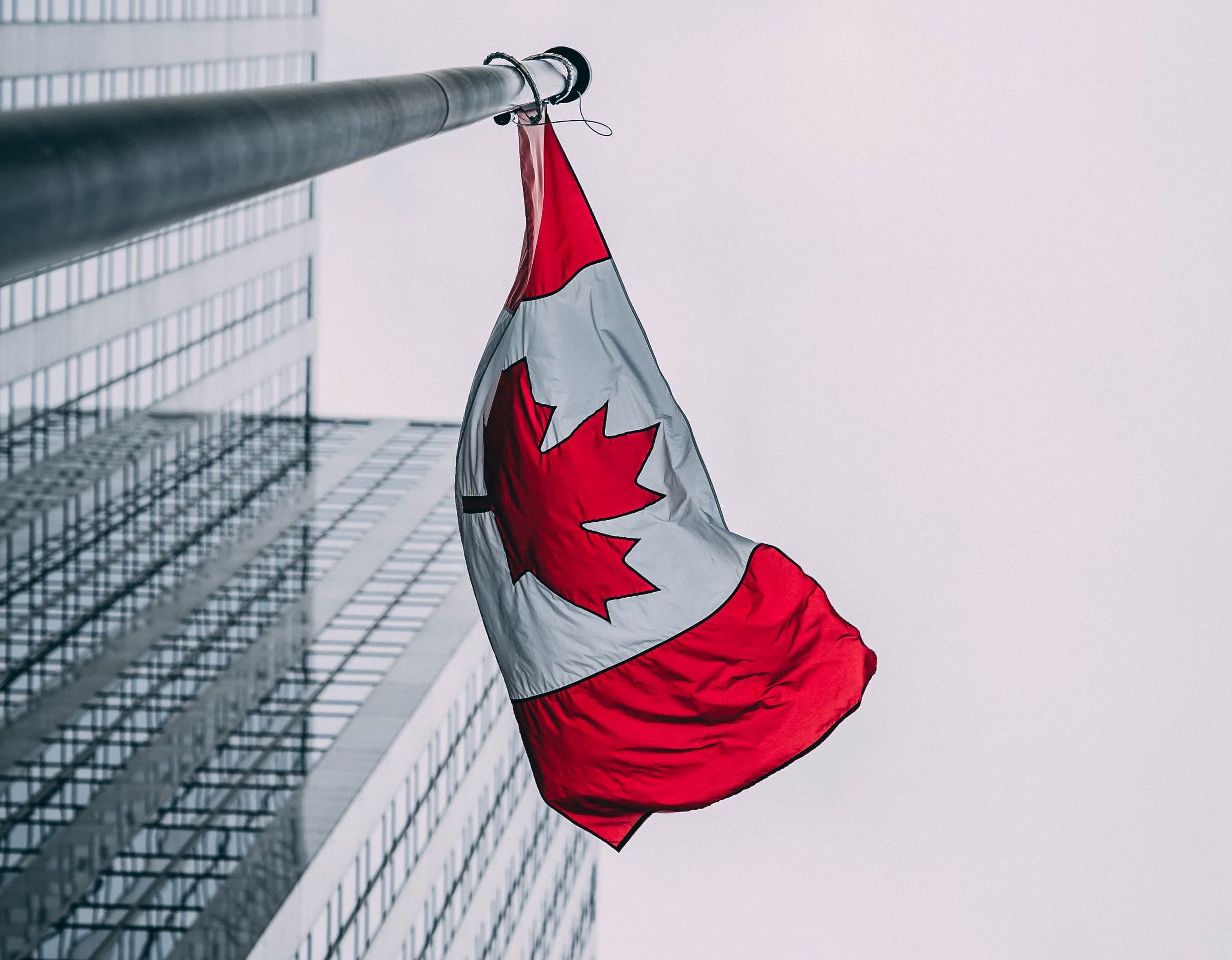 The Best Canadian Dividend Stocks Right Now Morningstar